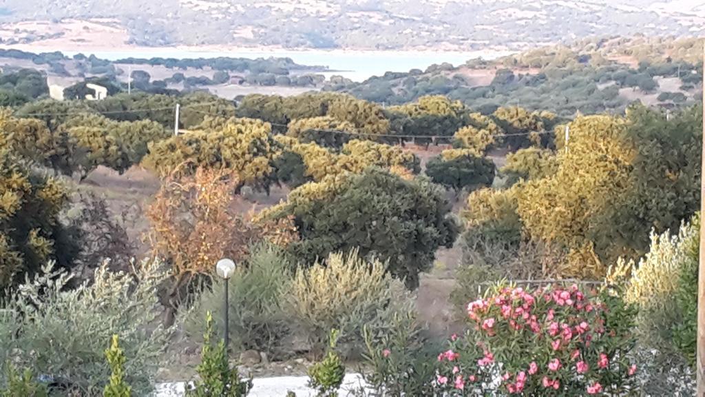 Agriturismo Pedru Caddu Tula Buitenkant foto